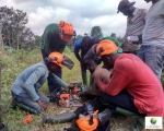 COUDERT_FORET_COTE IVOIRE_SIPH_2017 095619